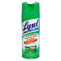 7205_Image Lysol Disinfectant Country Aerosol Spray.jpg